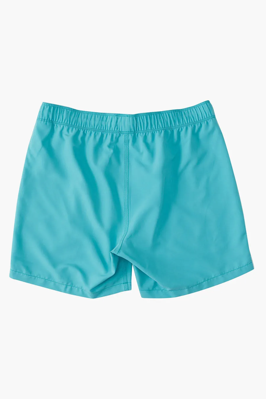 Boys Swim Billabong All Day Cobalt